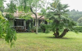Villa Monserrato - Goelba